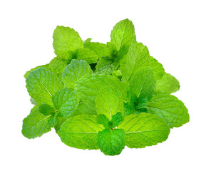 mint on  transparent png