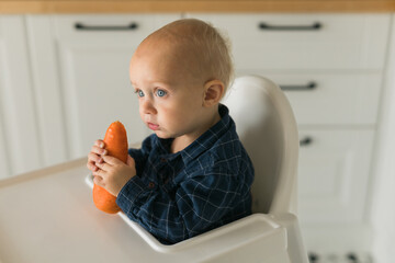 Happy baby sitting in high chair eating carrot in kitchen copy space. Healthy nutrition for kids. Bio carrot as first solid food for infant. Children eat vegetables. Little boy biting raw vegetable.
