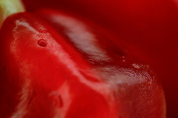 pomegranate seeds with juice drops in detail