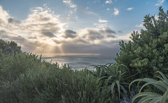 sundowner at western cape, gansbaai