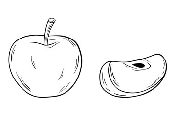 Apple and slice. Black and white vector illustration, sketch, pen and ink, freehand line drawing for logos, patterns, food design. On a white isolated background
