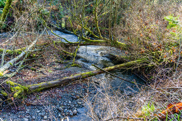 Earyly Spring Stream 6