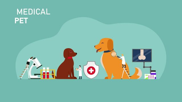 Medical Pet Care, Professional Veterinary Care