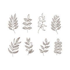 Hand drawn floral ornamental element