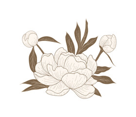 Luxury gold peonies. Trendy botanical elements. Hand drawn line leaves branches and blooming. Flower line art  design for prints,, wall arts, greeting card, invitation and wedding cards.