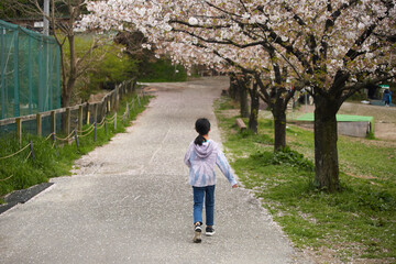 満開の桜と元気で走って遊んでいる子供の様子