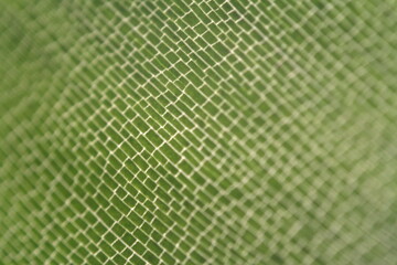 background-surface of a plant leaf