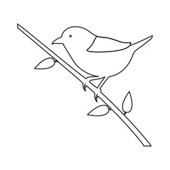 vector bird branch outline nice look,pj