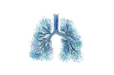 Lungs respiratory bronchial tree multiple-branched trachea, bronchi and lungs. Pulmonary and respiratory artistic medicine illustration. Hand drawing with gouache and paint sprinkles isolated white. - 588367180