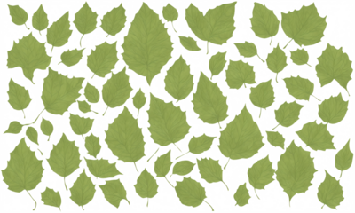green leaves pattern, transparent