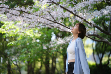 side portrait of beautiful Asian young woman free and relax under white sakura flower tree in spring park