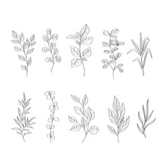 Hand drawn flowers doodle set
