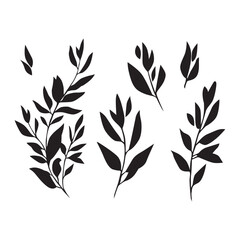 vector hand drawn floral decorative elements