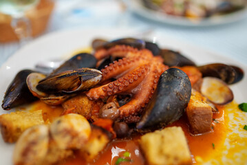 Stewed in tomato sauce Octopus with seafood and croutons.