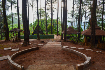 simple house in the middle of natural forest