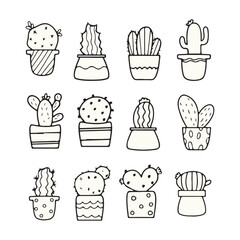 Collection of isolated outline black vector cactus and succulents elements. 