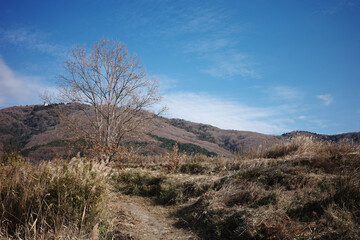 autumn in the mountains