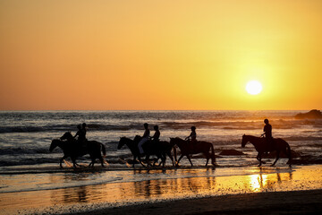 Fototapeta na wymiar sunset on the beach horses Costa Rica Nosara Santa Teresa beautiful golden hour nature guiones