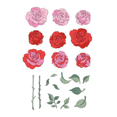 St Valentine Day rose flower creator bud stem leaves vector illustration set isolated on white. Red pink roses floral print for 14 February holiday card making.