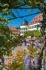 Schloss Bergzabern am Herzogin Karoline Platz in Bad Bergzabern. Region Pfalz im Bundesland Rheinland-Pfalz in Deutschland