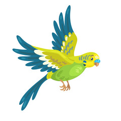 Cute green budgerigar flies. In cartoon style. Isolated on white background. Vector flat illustration