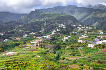 La Palma Island. Green Canyon Overgrown With Dense Vegetation. Tropical Exotic Landscape of La Palma. Canary Islands, Spain.