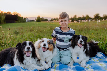 Little boy with three collies outdoor, having picnic.