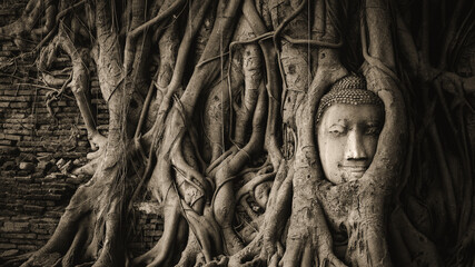 Buddha head in banyan tree roots at Wat Mahathat Temple in Ayutthaya, Thailand.
