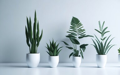 Detailed 3D Rendering of Four Plants