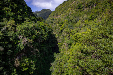 Fototapeta na wymiar La Palma Island. Cubo de La Galga Trail. Tropical Exotic Landscape of La Palma. Canary Islands, Spain.