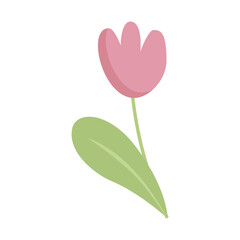 Single flower vector illustration. One flower. Pink tulip. A simple modern freehand drawing, a universal picture for your creativity. Clip art isolated on white background, cartoon character