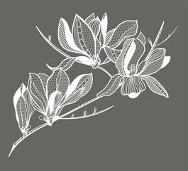 lace flower magnolia, bouquet, vector illustration