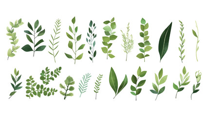  A Branch, Limb, Leaf, Leaves, of Grenn Tropical Tree (Fern, Eucalyptas, Herbs and Others Foliage) in Set of Watercolor Vector Style