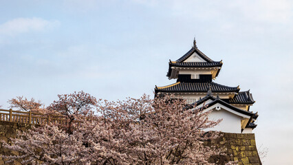 Naklejka premium 桜と城 日本の春 白河小峰城跡