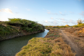 Obraz premium landscape with river