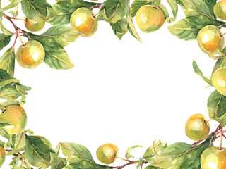 Rectangular frame of yellow apple branches. watercolor illustration