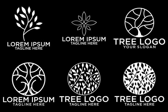 Olive tree logo. Extra virgin olive oil label icon. Tree of life symbol. Organic branch brand identity