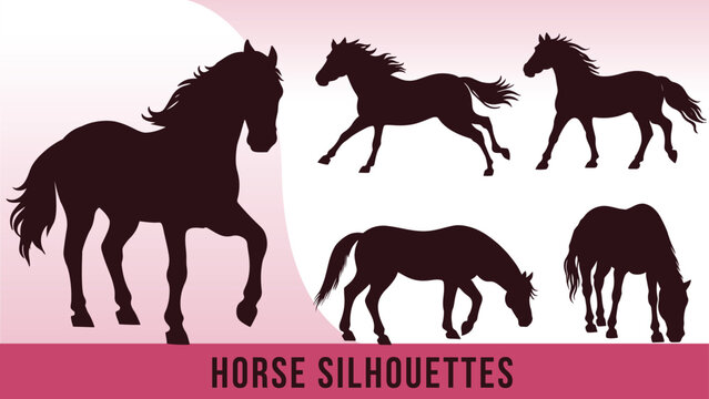 Collection of Detailed Horse Silhouette Vectors