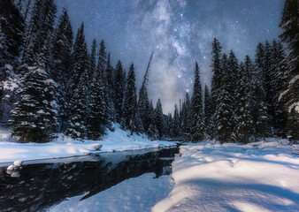 Landscape of milky way in night sky over pine forest with snow covered on lakeside in winter at national park