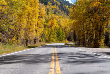 road in autumn forest