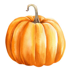 Obraz premium Pumpkin on an isolated white background, watercolor painting, hand drawing