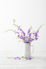 bluebell flowers in white jug on white background