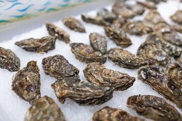 Close up oysters lie on the counter on ice in store. Oysters for sale at the seafood market. Fresh oysters Selective focus.Barcelona, Spain. High quality photo