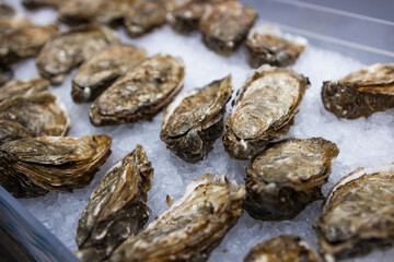 Close up oysters lie on the counter on ice in store. Oysters for sale at the seafood market. Fresh oysters Selective focus.Barcelona, Spain. High quality photo