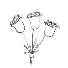flower boutique doodle pencil sketch, abstract illustration, decorative elements of love