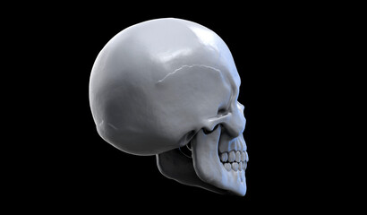 3d illustration of a human skull with the dark background. Back side view.