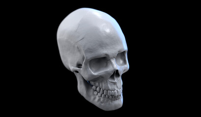 3d illustration of a human skull with the dark background. Perspective view of a skill.