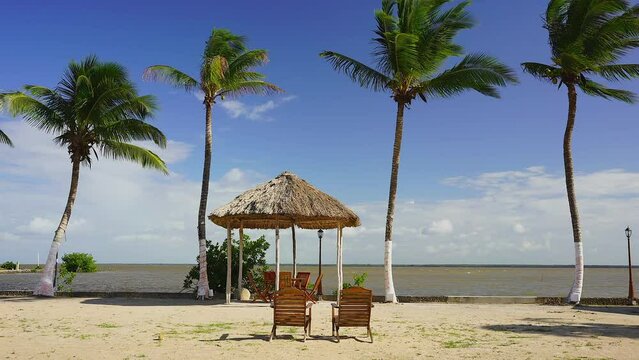 Escape to paradise with our oceanfront palapa and palm trees in beautiful Belize