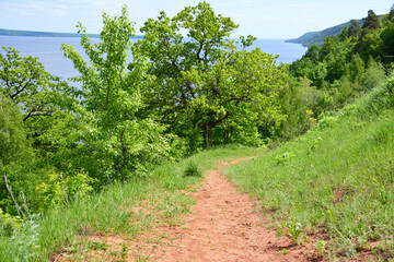 Fototapeta na wymiar A dirt path leads to water in mountain with green trees on background