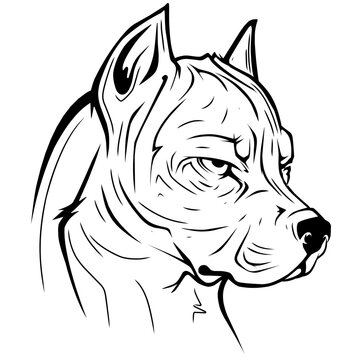 illustration of a bull dog head
